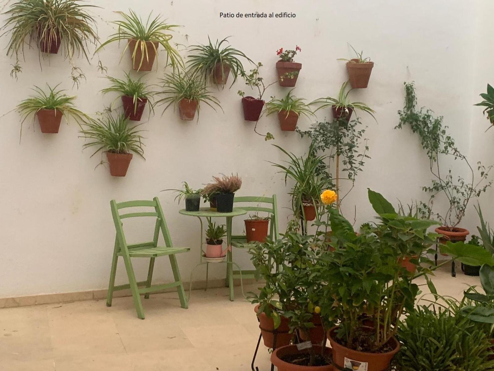 Casa Yaye Puerta Palma Apartment Ecija Ngoại thất bức ảnh